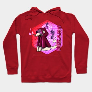 dungeons and dragons wizard dog Hoodie